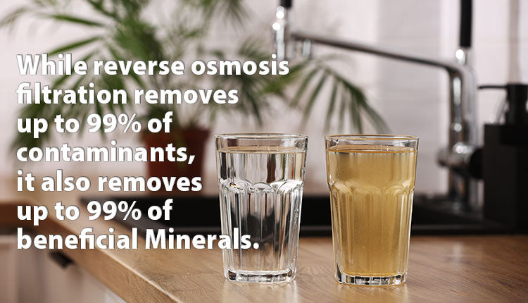 The Real Benefits and Drawbacks of RO Water (What the Filter Companies Won't Tell You)