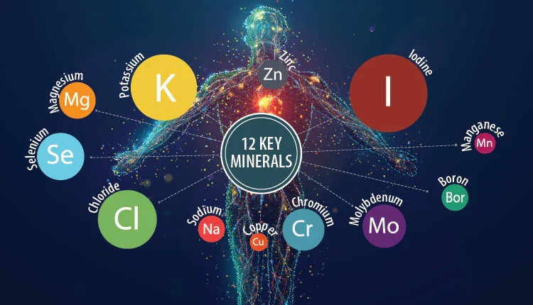Essential trace minerals supporting whole-body health